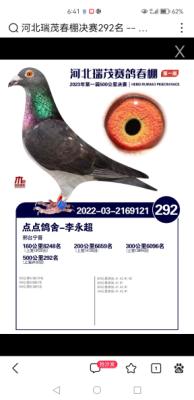 ��ï����292��