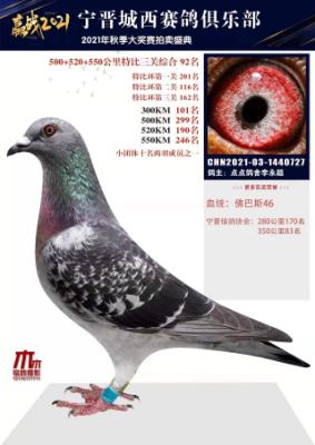 �����ۺ�92��