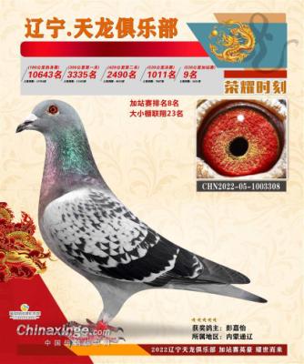 ��վ��9��