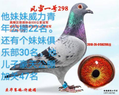 ��ѩһ��298