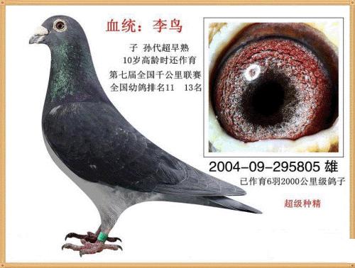 ��ʦ�ĸ���