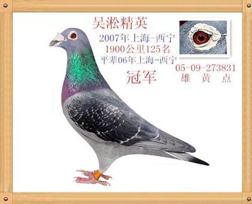 ��ʦ�ĸ���