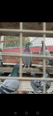 ���ݻ���564��