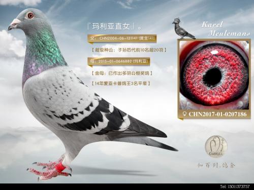 �ƽ���Դ�141ֱŮ