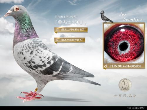 �ƽ������050