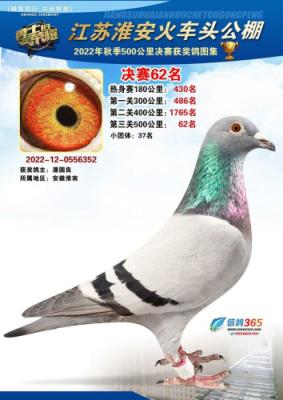 ���ջ�ͷ����62��