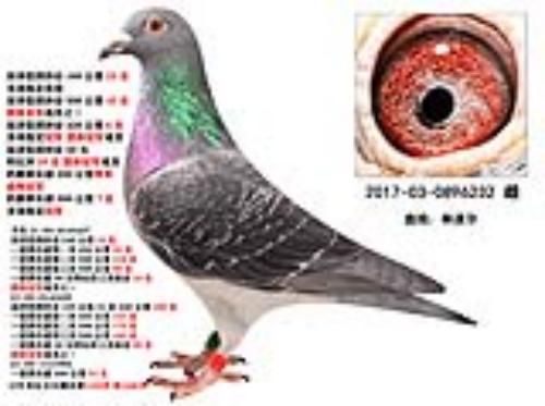 ����ǰʮ��