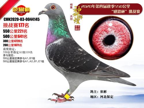 ���ݻԻ���ս��177��