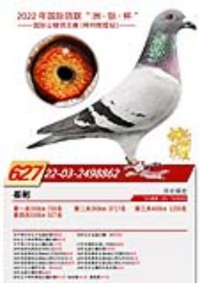 ���ݻԻ�627��