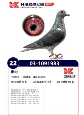 �������������22��