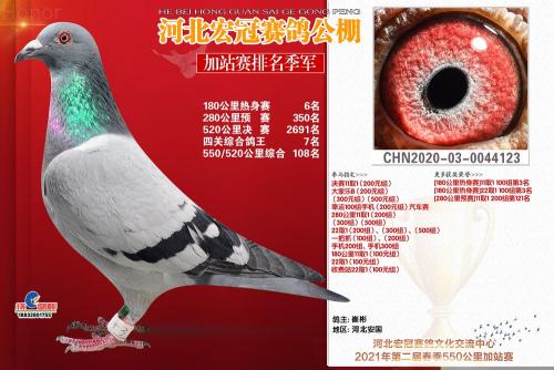 ��ڹ���һ��6����վ������