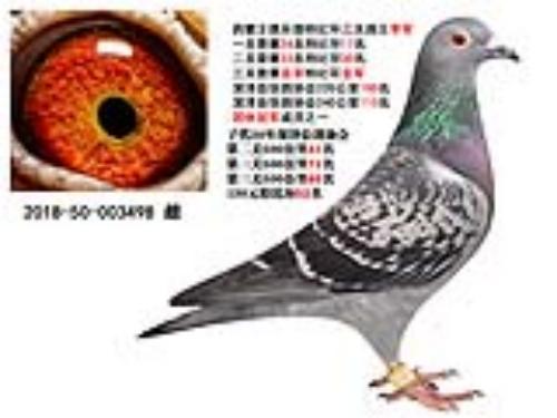 ҩ�����ֲ�500�����Ǿ�