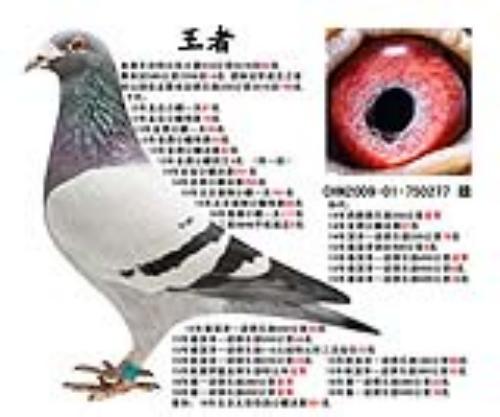 �������� ����