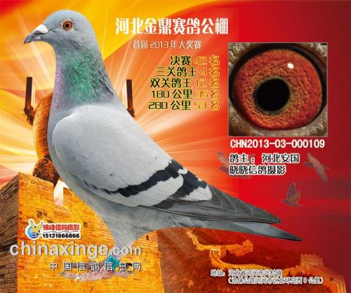 �𶦹������ظ���4��