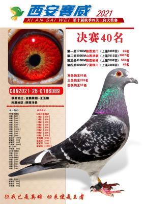 ��������40��