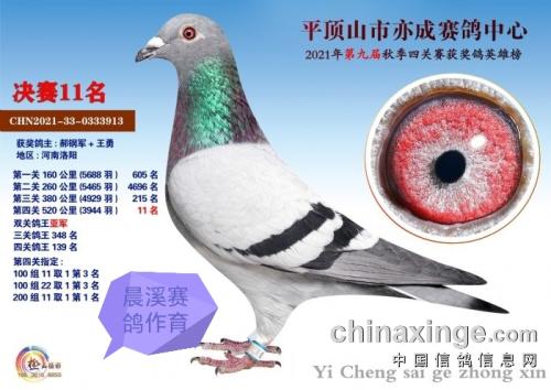 ˫�ظ����Ǿ�