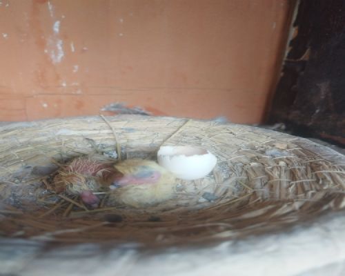 �ڶ��� ��������