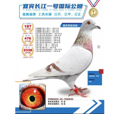 ��������22��187