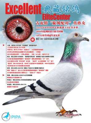 �������������ֱ��Ů
