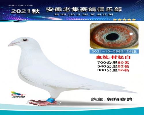 �߸밿����ɰ�124