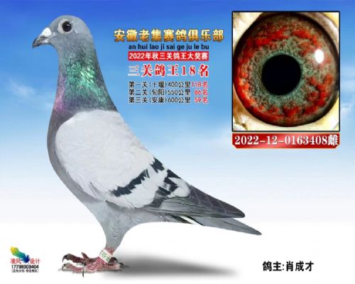 �߸밿��Ǳ�408���ظ���18��