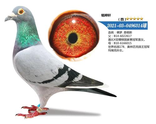 ���޶���˹