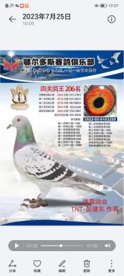 2022�������˹��Ӣ������ֲ�