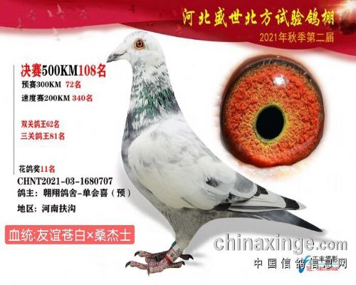 ����԰�707