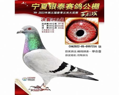 �������315