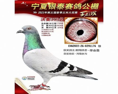 �������379