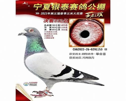 �������252