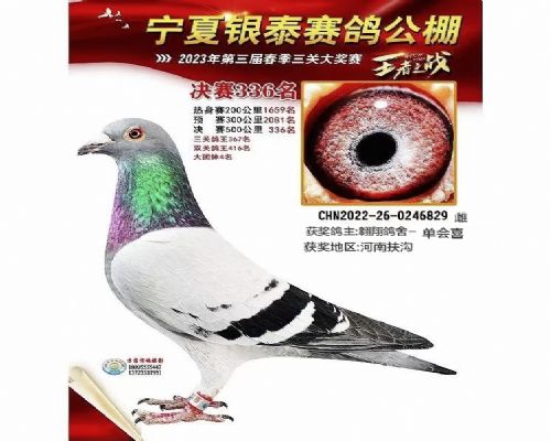 �������336