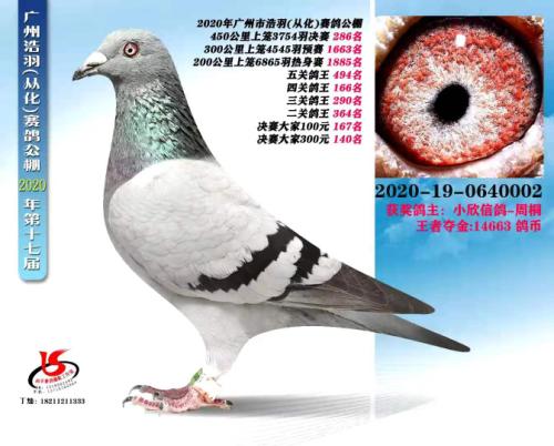 2020��ӻ����������286