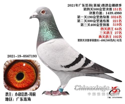 2021����Һ������151��