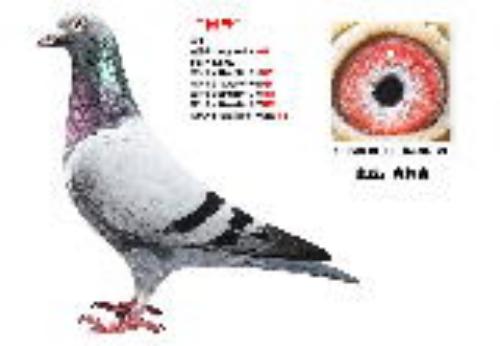 �����ܡ�