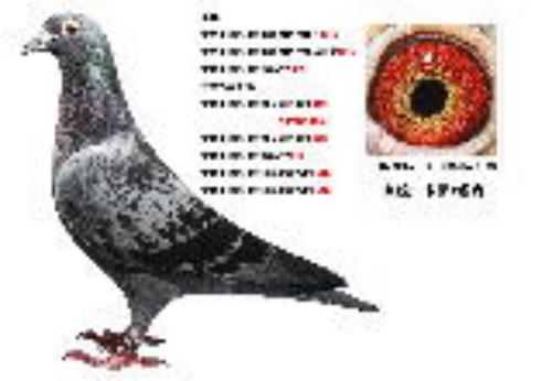 ������673��