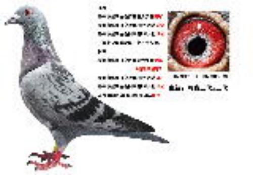 ������005��