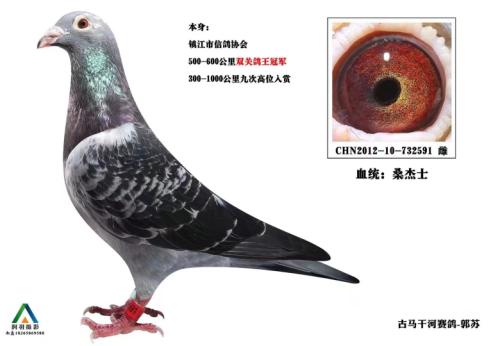 ��ɣ��ʿ591��