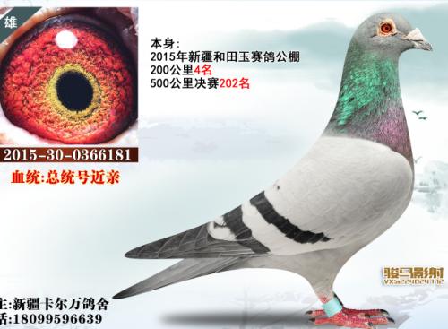 ��ͳ�Ž���