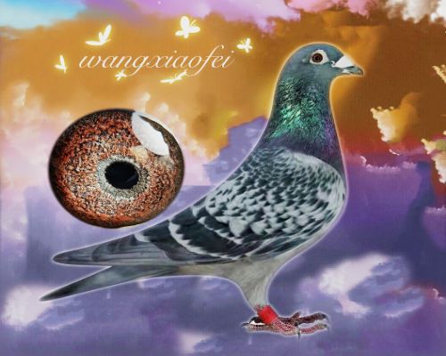 �������ھ���