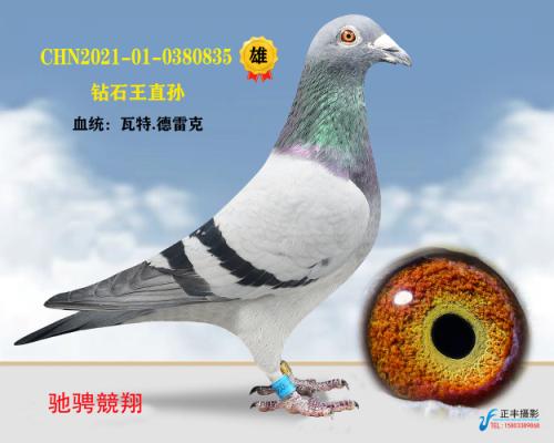 ��ʯ��ֱ��