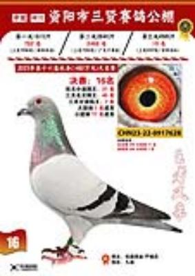 23�������͹����������