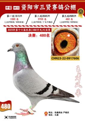 23�������͹������480��