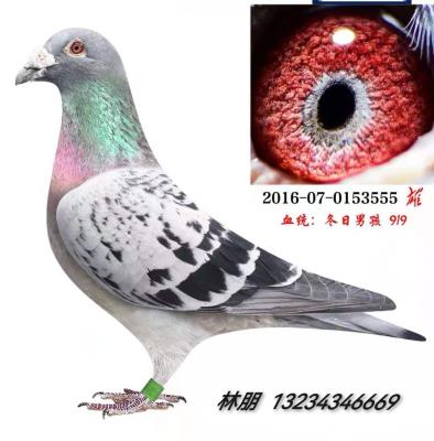 ����10��