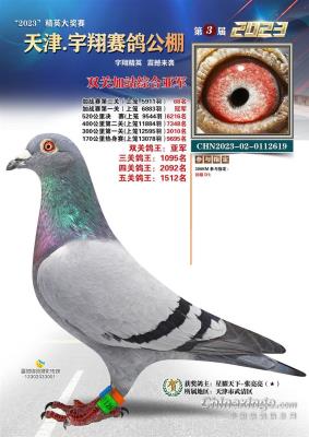 ��վ˫���Ǿ������عھ�