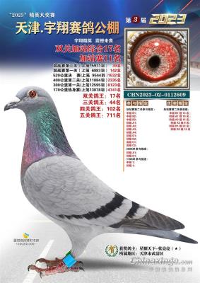 ��վ˫��11��