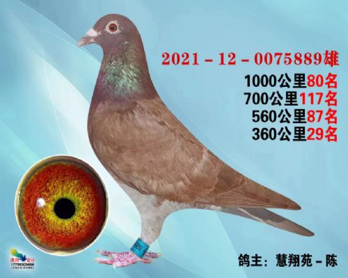 �߸밿������889