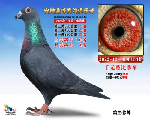 �߸밿���ɣʿ�����ظ���10����