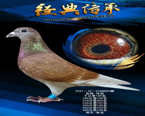 �߸밿�衴����892��