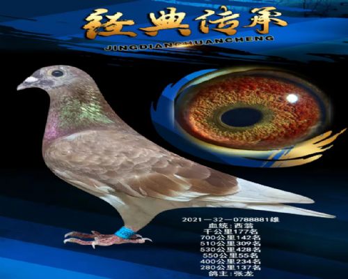�߸밿�衴����881��